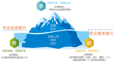 双能力建设的冰山模型